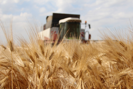 Покупателям